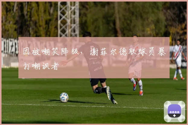 因被嘲笑降级，谢菲尔德联球员暴打嘲讽者