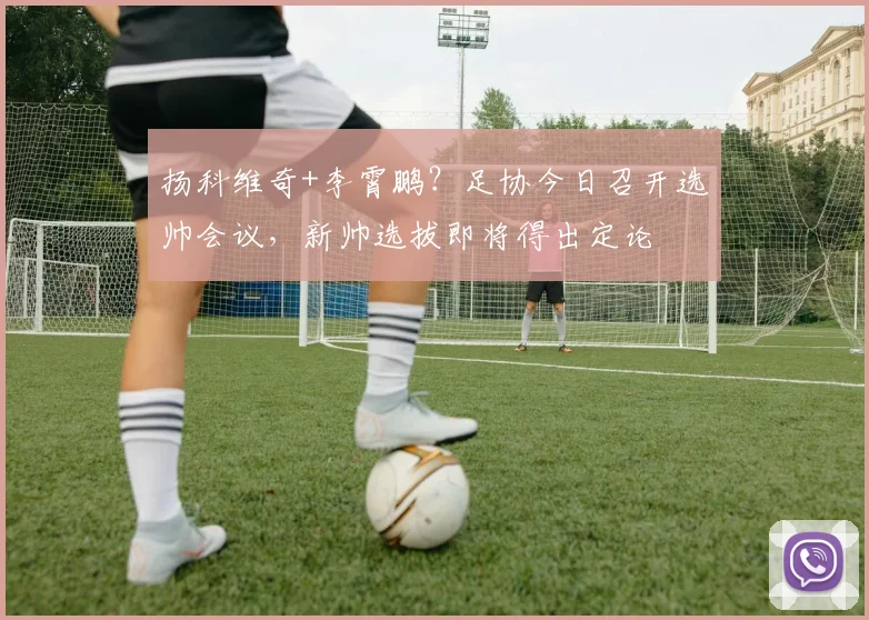 扬科维奇+李霄鹏？足协今日召开选帅会议，新帅选拔即将得出定论