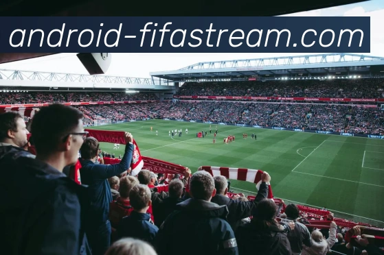 世界杯手机直播网站APP 高清赛事图